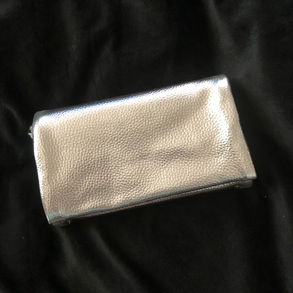 Sliver purse/clutch
